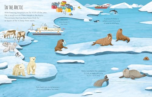 Planet Earth - First Sticker book