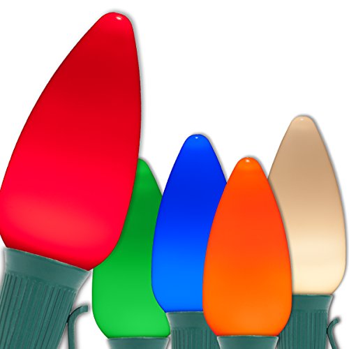 Wintergreen Lighting 25 C9 OptiCore LED Commercial Outdoor Christmas Lights – Heavy Duty Christmas String Lights; Green Wire (25 ft, Multicolor Smooth/Opaque)