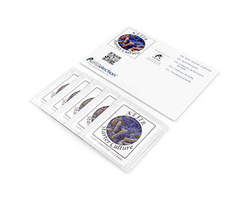 Kefir Starter Culture - Pack of 5 Freeze Dried Sachets