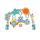 Pau1Hami1ton Baby Stroller Arch Toys, Car Seat Toys,Baby Gifts.S-19(Blue Owl)