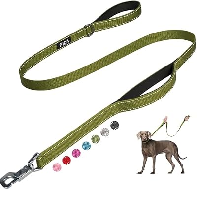 Fida Heavy Duty Dog Leash for Medium Large Dogs, 4 FT, Dual Padded Handles
