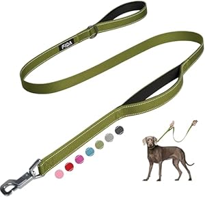 Fida 4 FT Heavy Duty Dog Leash with 2 Comfortable Padded Handles, Traffic Handle & Advanced Easy Snap Hook, Reflective Walking Lead for Large, Medium & Small Breed Dogs, Green
