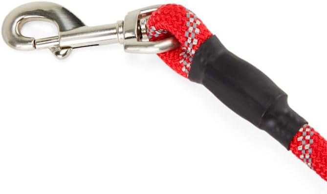 YOULY by Petco Reflective Braided Rope Dog Leash Red 6-ft Long 1/2-in Wide