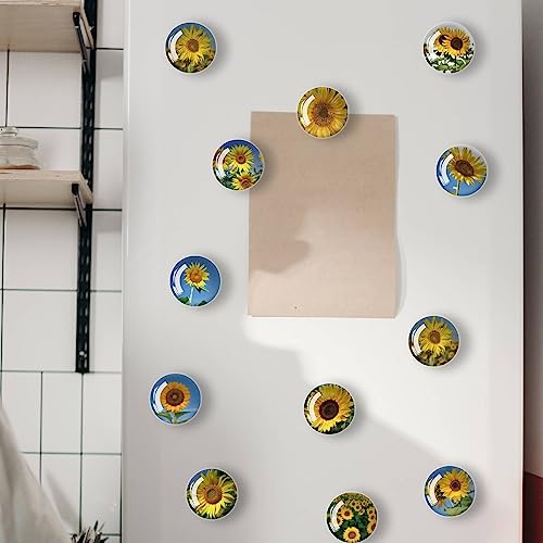12 imanes decorativos de vidrio para refrigerador miniatura 2