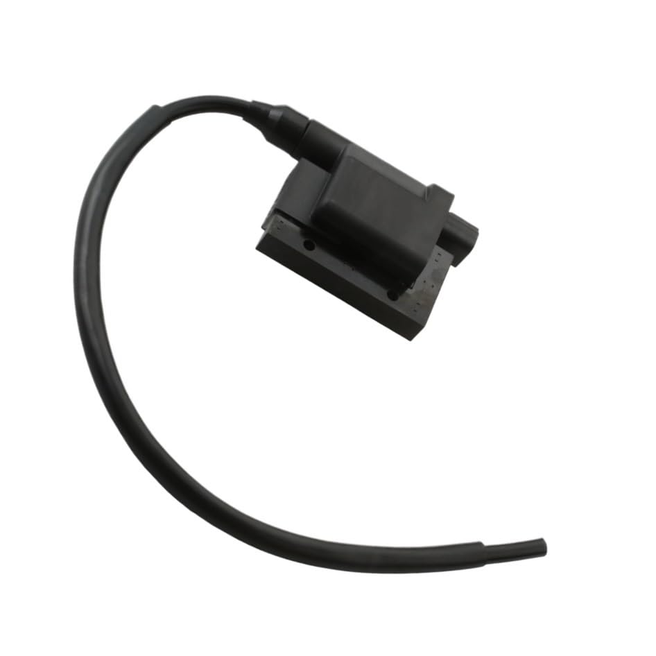 Bobine d'allumage adaptée pour Di 125 et Do 125i pièce de rechange moteur