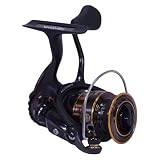 Daiwa BG1500 BG Saltwater Spinning Reel, Black/Gold
