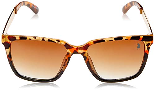 Óculos de sol Óculos Solar Polo London Club, Polo London Club, Feminino, marrom, Único