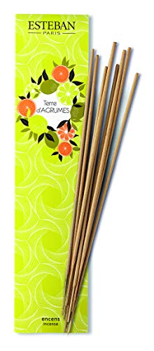 Esteban Paris Indiano TERRE D'AGRUMES Incense 20 Sticks