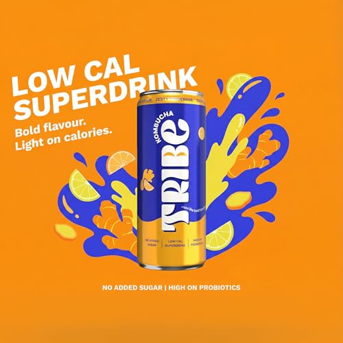 Image of Tribe Kombucha Probiotic Super Drink | Supports Gut Health | Gluten-Free | Naturally Fermented | Super Refreshing | Gut Friendly | Improves Blood Sugar | Antioxidant and Hydration | No Added Sugar | 250 ML X 6 (OG CLASSIC + ZESTY GINGERADE + HIII BISCUS)