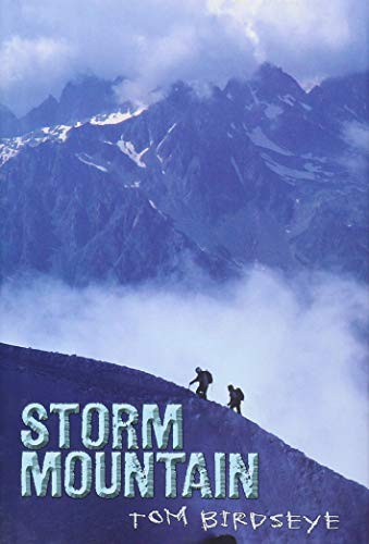 Storm Mountain view 2