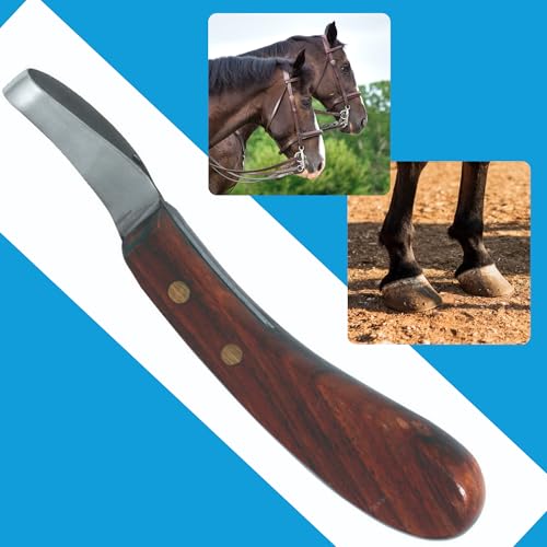 Image of 7 Inch Swiss Hoof Knife Double Edged - Stainless Steel Curved Blade Farrier Tool with Round Wooden Grip, Multipurpose Hoof Trimming Knife for Livestock. (Oval Hoof Knife)