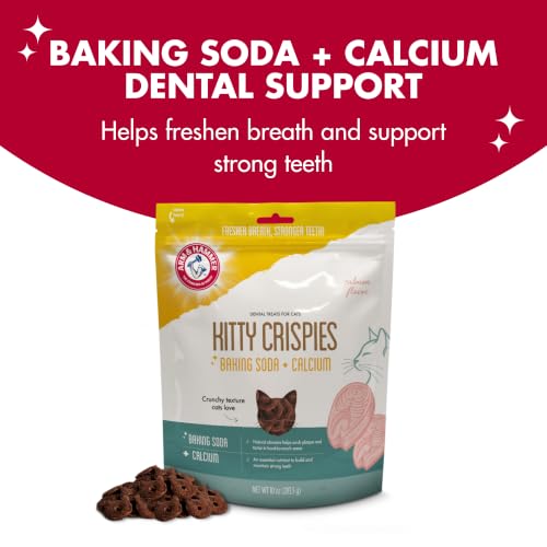 Arm & Hammer Kitty Crispies Dental Cat Treats, Salmon Flavor, 10 Oz - image 2