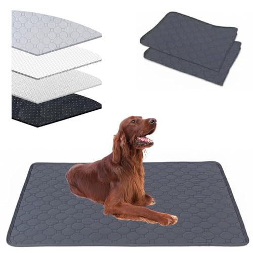 Lifetips �A�C���b�V���E�Z�b�^�[�iIrish Setter�j �􂦂�y�b�g�V�[�c �y�b�g�V�[�c �􂦂� 2���Z�b�g ����~�� ���V�[�c���C�h ���������V�[�g ���L �ۂ��Ɛ􂦂� ���~���}�b�g �l�d�\�� �R��h�~ ���� ����~�� ���^ ��^ �� ���p