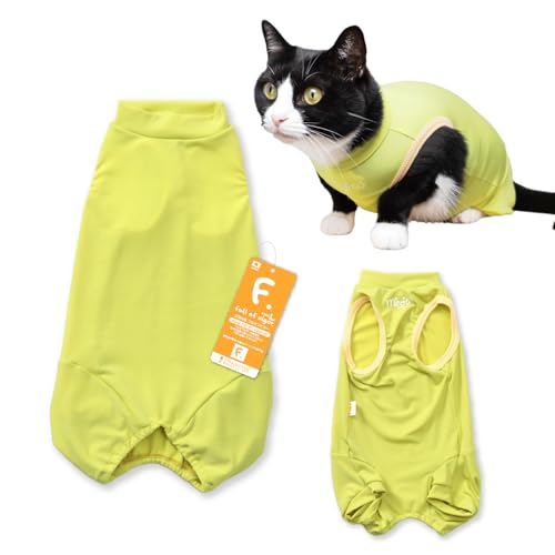 L Lp |Cg |GXe xAV Ȃ Ȃ L̕ tIurK[ 8/CG[ C2L