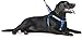 Dexil Limited Service Dog Blue Color Coded Alert Warning L XL Non Pull Dog Harness Prevents Accidents by Warning Others of Your Dog in Advance
