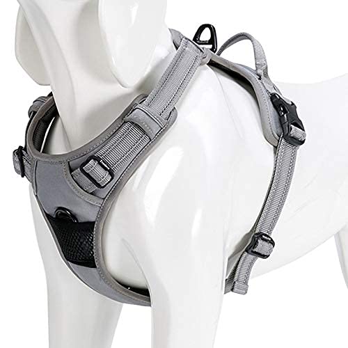 WINHYEPET Truelove Hundegeschirr No-Pull Reflektierendes verstellbar Haustiergeschirr mit 2 Leinenclips, einfachem Steuergriff für kleine, zum mittelgroße und große Hunde, TLH5651