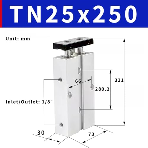 Cylindre pneumatique double effet TN25 course 250mm à double tige anti-rotation