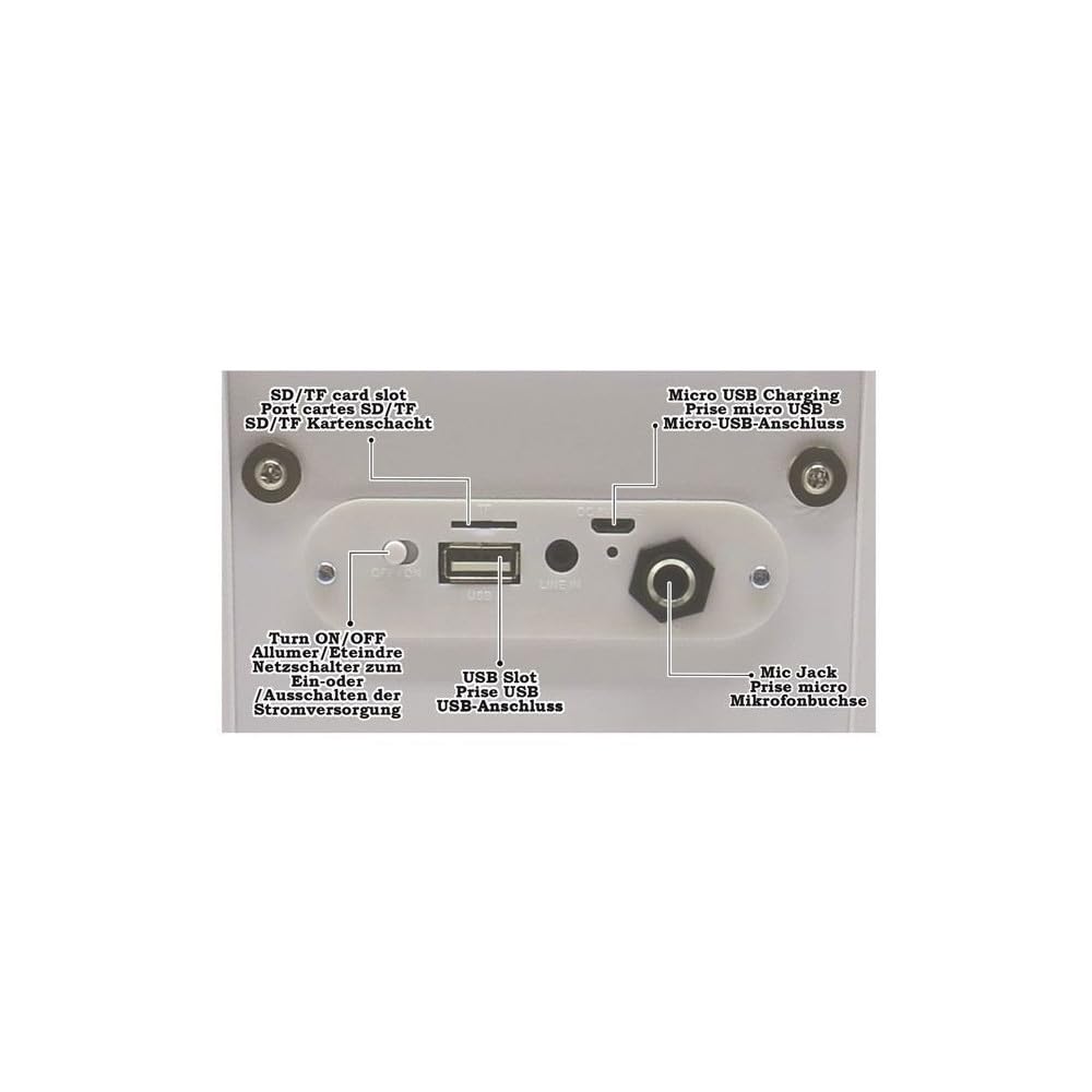 IParty BTP180Z - Altavoz de luz Bluetooth portátil con micrófono, efectos de luz, karaoke, inalámbrico, USB, tarjeta SD, batería recargable, blanco, BTP180Z 4