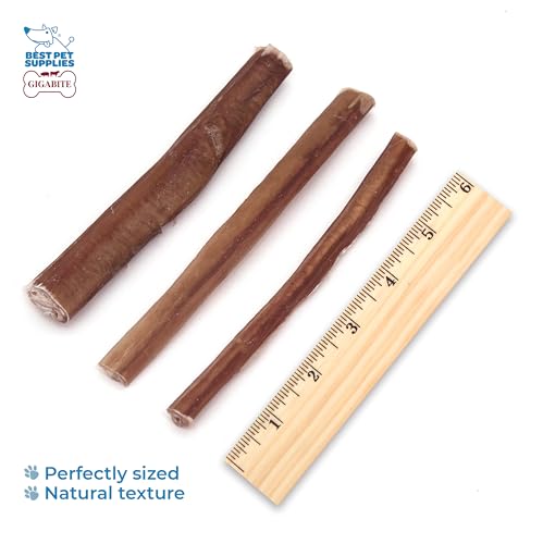 Image of GigaBite Bully Sticks for Dogs All Natural Beef Pizzle Dog Chews, Odor & Rawhide Free Dog Treats, Long Lasting High Protein Chews Digestible Dental Dog Treat - Sticks (Slim 6 inch), Pack of 25