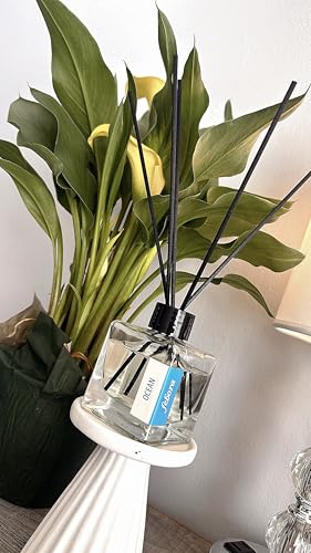 Ambientador Reed Diffuser Ocean 100ml miniatura 1