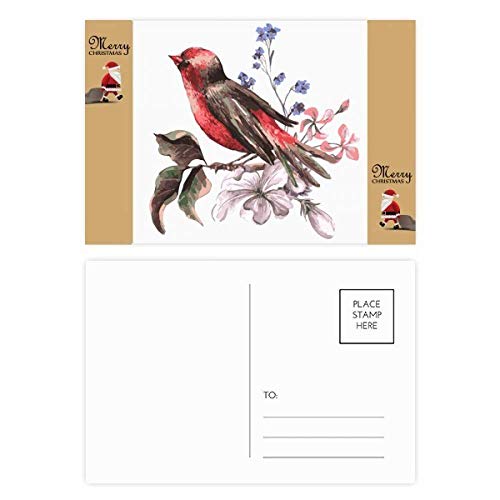 Cartes postales remerciement nature lot de 20 correspondance oiseau branche