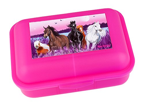 Preisvergleich Produktbild Miss Melody 6793 - Brotdose mit Trennwand, sortiert