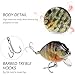 Tuimiyisou Sea Fishing Lures 5PCS Fishing Lures 6cm 15g Mini Wobbler Fishing Lure Artificial Hard Bait Crankbait with Tackle Box for Bass Fishing Tackle,Metal Sequins Spinner Fishing Lures