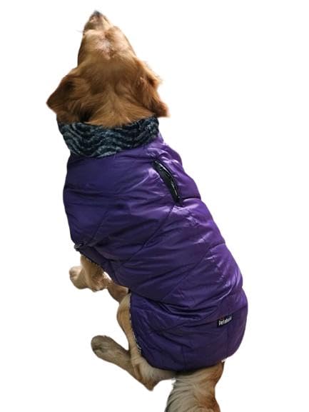 WaggyTails Water-Repellent Jacket for Dogs - Pet Fashion, Cold Winter Wear, Warm Jacket, Water Proof, Cute Clothes, Dogs Costume, Adorable Dog wear, Pet Coat, Pet Clothing - Size-28-5 XL Neon Purple (B0CP6K95GV) Amazon Price History, Amazon Price Tracker