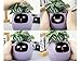 PLANTSIO Smart Pet Planter Robot guía sobre el cuidado de las plantas con emojis Imagen de PLANTSIO Smart Pet Planter Robot guía sobre el cuidado de las plantas con emojis