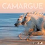 Camargue