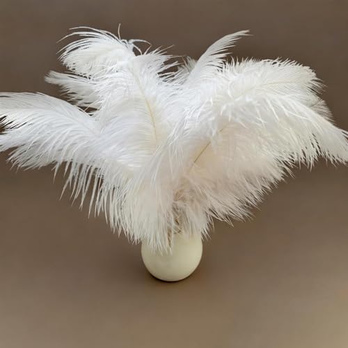 AYZDJ 10 plumas de avestruz blancas naturales, de 25 a 30 cm, grandes plumas decorativas esponjosas para centros de mesa, bodas, manualidades y decoración de árbol de Navidad