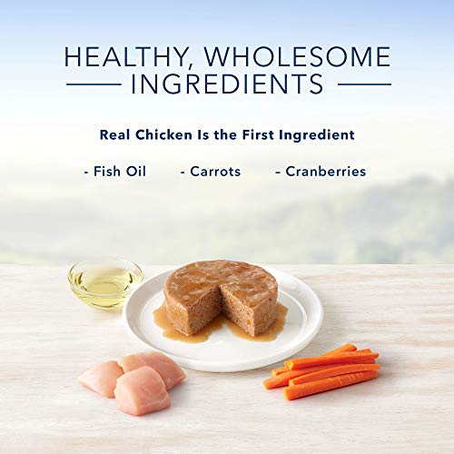 Blue Buffalo Healthy Gourmet Natural Kitten Pate Wet Cat Food, Chicken 3-oz cans (Pack of 24)