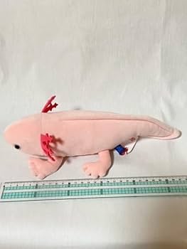 ウーパールーパーぬいぐるみ Amazon.co.jp: かわいいウーパールーパー ぬいぐるみ