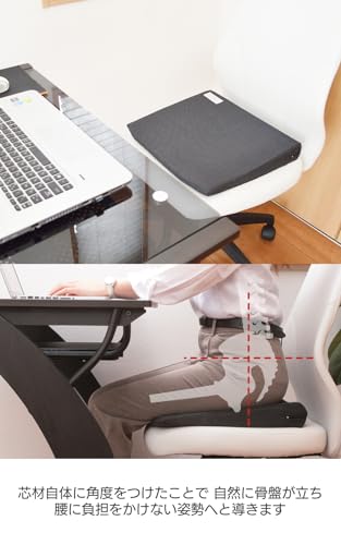 ドクターエル クッション Dr-Lサムネイル4