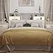 AYEASY Queen/Full Size Headboard Only for Bedroom, Wood Bookcase Headboard with Charging Station & 2 LED Lights, Stylish Headboards for Queen Size Bed, Noise-Free HeadBoard with Storage, White