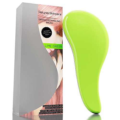 Detangling Hairbrush – Gentle Detangler Hair Brush & Comb – No More Tangle – Reduce Hair Loss and Breakage – Great for Adults & Kids – Lime Green