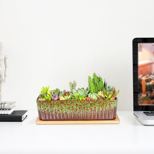 Succulent Pots - 12 Inch Large Succulent Planters with Drainage Tray, Window Sill Planter, Long Rectangle Ceramic Pots for Indoor Cactus Plants Shallow Bonsai Window Box for Home Garden Decor by ARTKETTY - Image 5