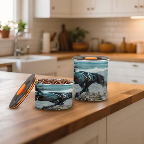 Contenedor al Vacío para Café Acero Inoxidable 30oz miniatura 7
