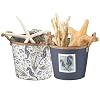 Primitives by Kathy Sea Creatures Bucket Set