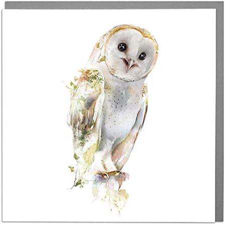 Lola Design - Wildlife Botanical Greeting Cards - Blank Cards and Envelopes - Barn Owl Animal Card