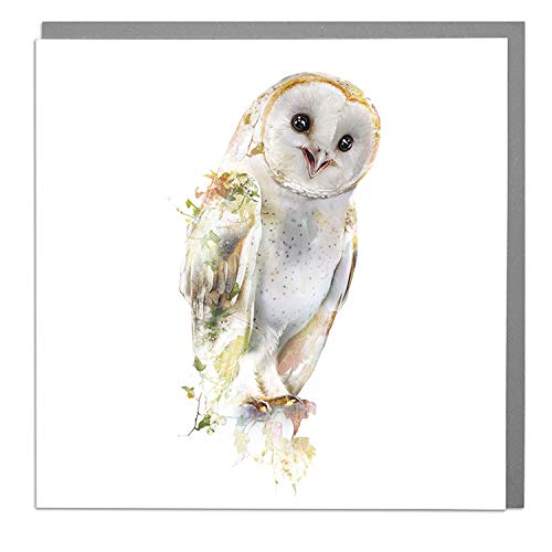 Lola Design - Wildlife Botanical Greeting Cards, Barn Owl Design - Suitable for Birthdays, Congratulations or Any Special Occasions - Blank Inside with Grey Envelope - 150mm x 150mm