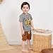 Toddler Baby Boy Clothes Summer Short Sleeve Truck Print T-Shirt Tops Solid Color Shorts Set 2Pcs Casual Outfit (Gray Dirt, 12-18 Months)