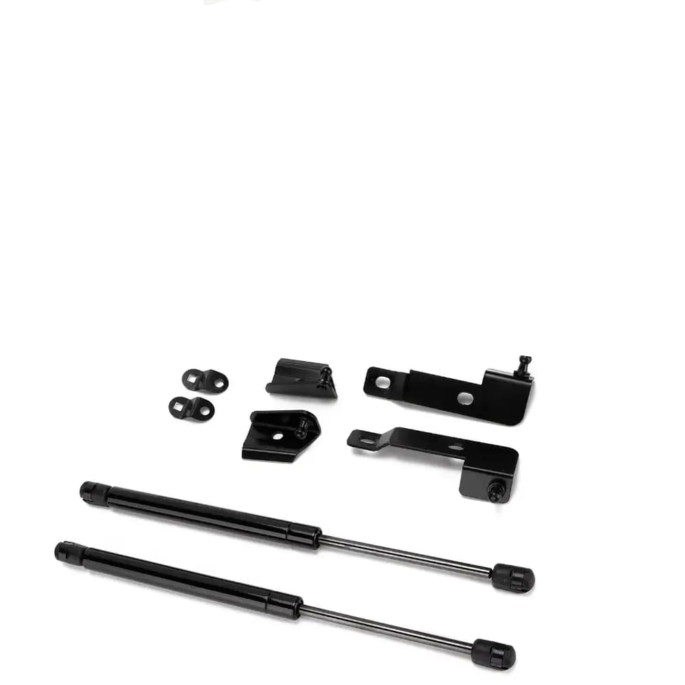 Vérin à gaz Frontier D40 et Pathfinder de 2004 à 2018 pour capot - 4