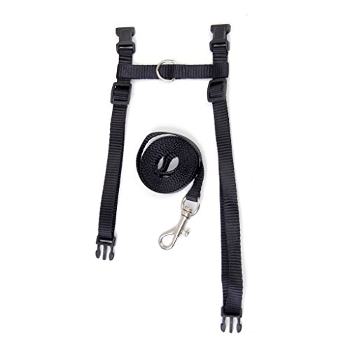 Nero Regolabile Pet Gatto Kitten Nastro di Nylon