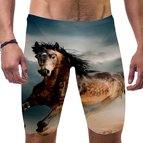 Traje de baño para hombre de secado rápido DAPHL para entrenar