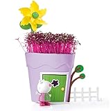 Aprende a cuidar de tus plantas y observa cómo crecen