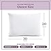 CirclesHome Pillow Protectors 2 Pack Queen Zippered - 100% Cotton Breathable Pillowcases - Protects Pillows from Dirt, Dust and Debri (Queen- Set of 2 - 20x30)