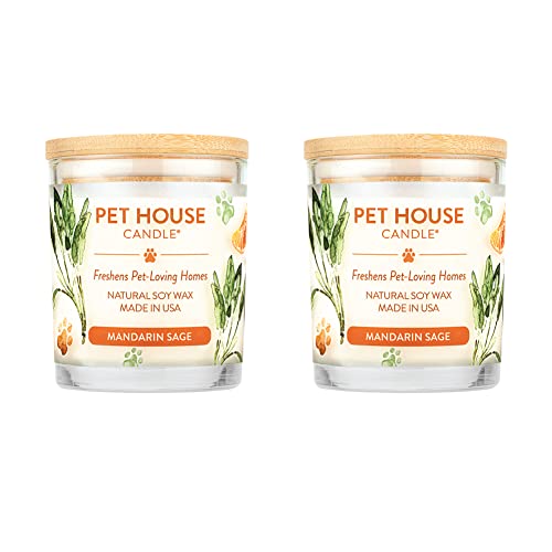 Mandarin Sage Candle Pet Friendly Plant-Based Wax, 2 Pack Pet House