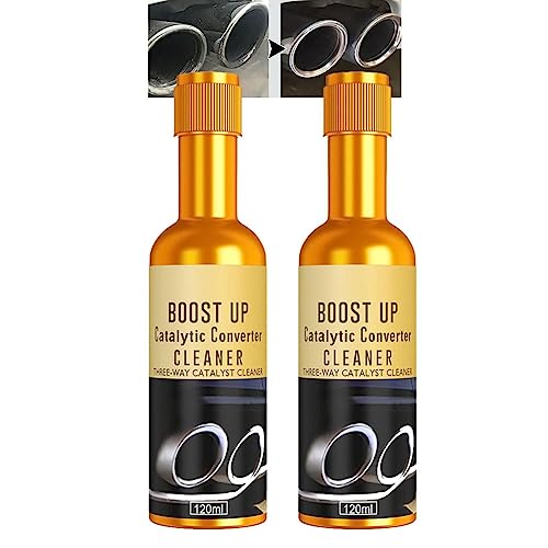 10 Best Cat 1 Catalytic Converter Cleaner By An Expert