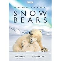 Snow Bears